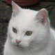 Avatar du membre