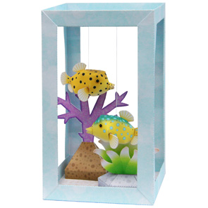 aquarium-boxfish_thl.jpg