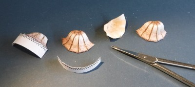 ... et seulement après séchage, coupez la bande inférieure.